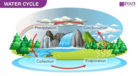 Water Cycle - Process and its Various Stages