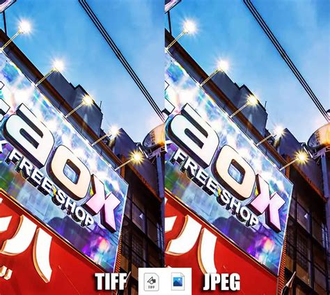 TIFF vs JPEG: Which is Better?