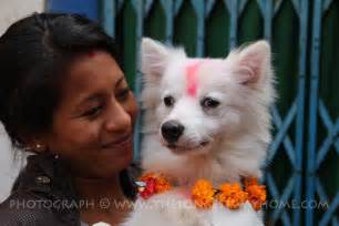 The Dog festival: Day two of Tihar in Nepal