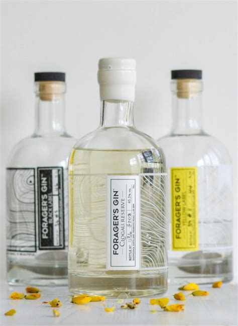 Top 8 Most Expensive Gins in the World - Expensive World