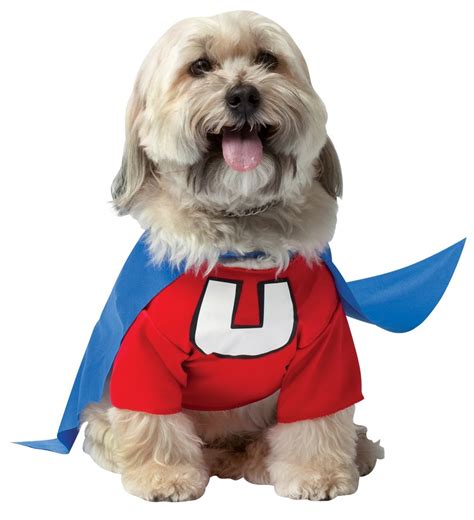 Superhero Costumes for Your Dog | WebNuggetz.com