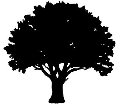 Tree shadow clipart 20 free Cliparts | Download images on Clipground 2024