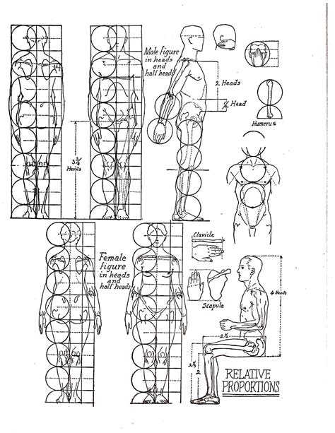 Learn How to Draw the Human Body