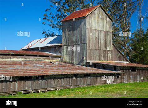 McBride Ranch barn, Humboldt Bay National Wildlife Refuge, California ...