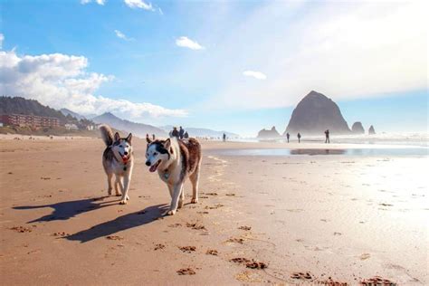 10 Most Popular Beaches on the U.S. West Coast