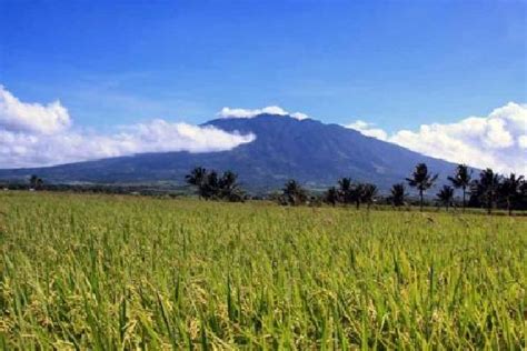 Mt. Isarog - Camarines Sur | Philippine Evolution