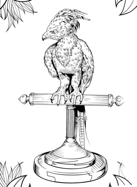 Harry Potter Phoenix coloring page - Download, Print or Color Online ...