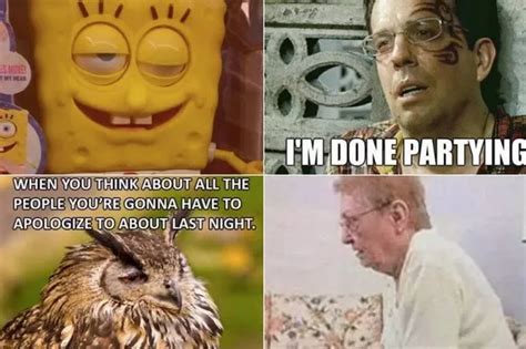 20 hilarious hangover memes that will help get you through a difficult ...