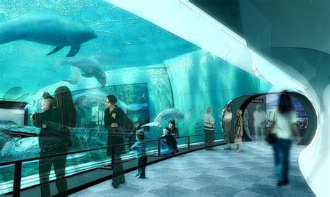 Acquario di Genova. Zippertravel.com Digital Edition | Travel light ...