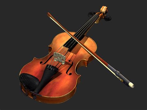 Gallery For > Violin Instrument Family