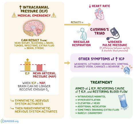 Cushing’s Triad: What Is It, Causes | Osmosis