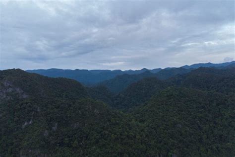 Kenapa Disebut Bukit Barisan? Ini Kekayaan yang Terkandung di Sumatra