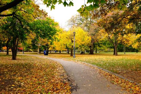 On the Grid : Trinity Bellwoods Park