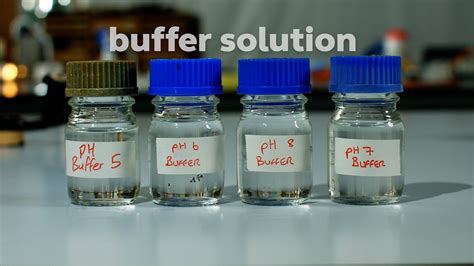 Investigate the effect of pH on enzyme activity - BBC Teach