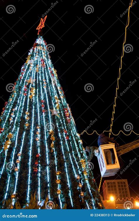 Bethlehem Christmas Tree editorial stock photo. Image of tree - 22438313