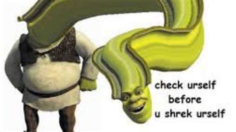 22 Shrek Memes for When The Years Don't Stop Coming - Funny Status