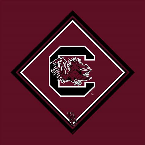 University of South Carolina Standard Cloth | Hi-Look Online