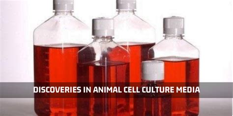 Major Discoveries In Animal Cell Culture Media | Kosheeka