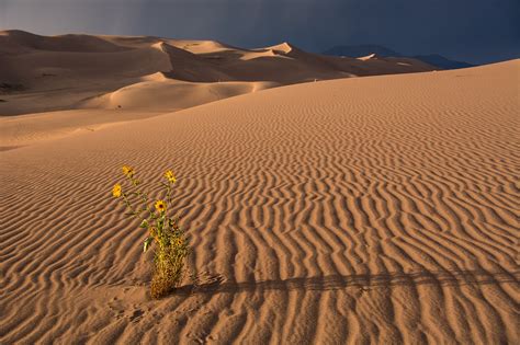 Photography - Great Sand Dunes National Park & Preserve (U.S. National Park Service)