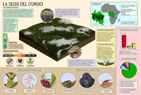 Congo rainforest by SaurioArtz on DeviantArt