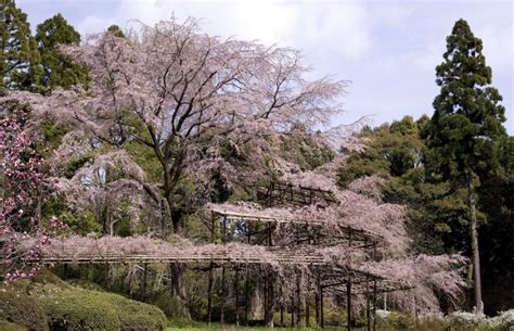 Kyoto Botanical Gardens - GaijinPot Travel