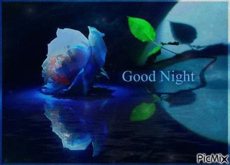 Blue Good Night Rose Gif Pictures, Photos, and Images for Facebook ...