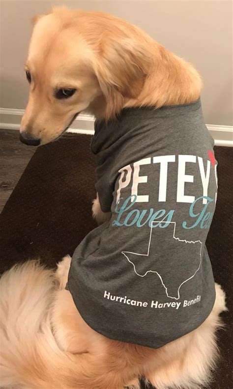 Client Spotlight - Petey’s Playhouse Pet Services! | Time To Pet