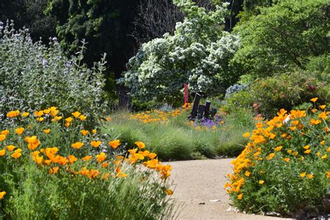 L.A. County Arboretum & Botanic Garden Plant Info: Out and About at the LA Arboretum Early to ...