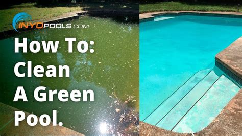 How To: Clean A Green Pool | Green pool water, Swimming pools, Pool cleaning tips