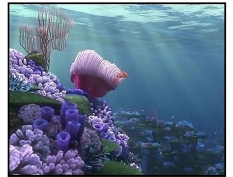 Finding Nemo