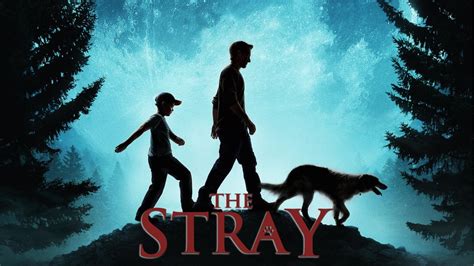 The Stray Movie Review and Ratings by Kids