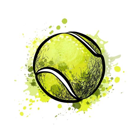 Tennis ball from a splash of watercolor, hand drawn sketch. Vector ...