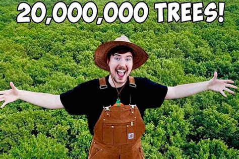 YouTuber desafia plantar 20 milhões de árvores (e já conseguiu 7) - greenMe