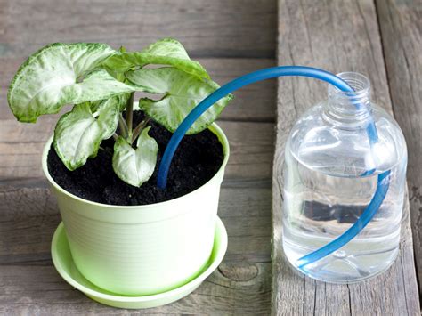 Automatic Houseplant Watering – Making An Indoor Watering System