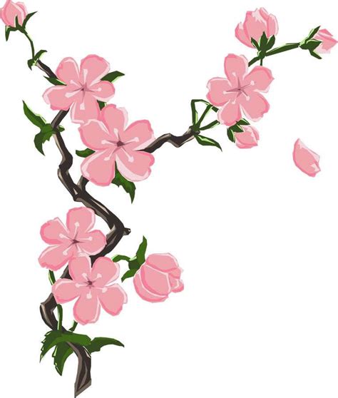 Japanese Cherry Blossom Flower Drawing | Free download on ClipArtMag