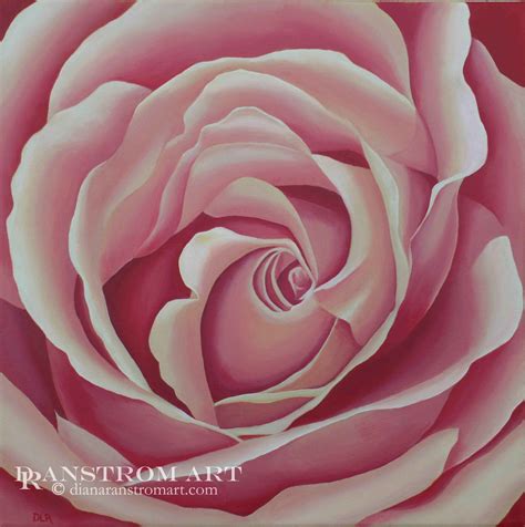 Pink Rose, 20 x 20 inch Original Acrylic Painting - Diana Ranstrom Art