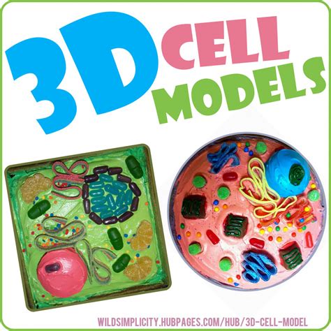 3d Plant Cell Model Snap Science Pinterest - vrogue.co