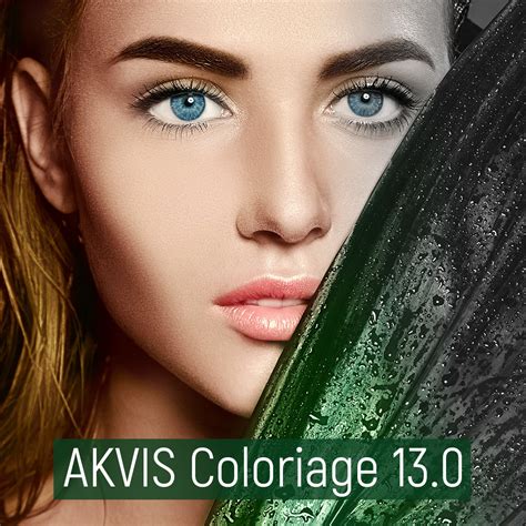 Akvis coloriage 9.5 - qerydownloads