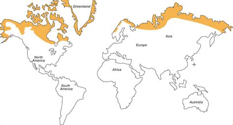 Tundra - Climate Types for Kids