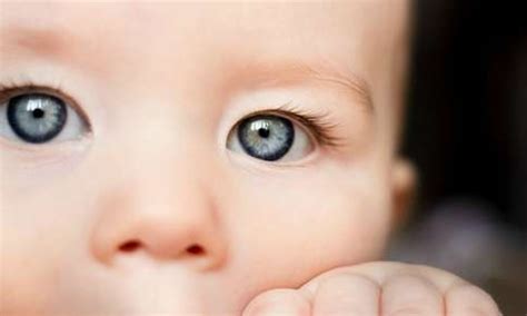 The Development of Your Child’s Eyes | Florida Vision Institute