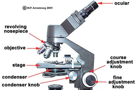 Lab Manual Exercise # 1