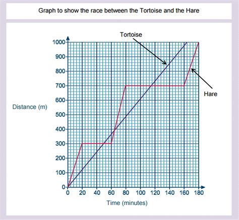 mathematic: New Gcse: Existent Life Graphs