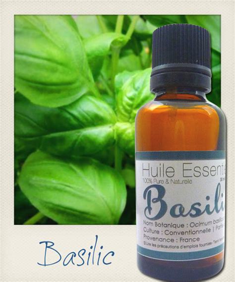 Huile Essentielle de Basilic - Plantes&Vie