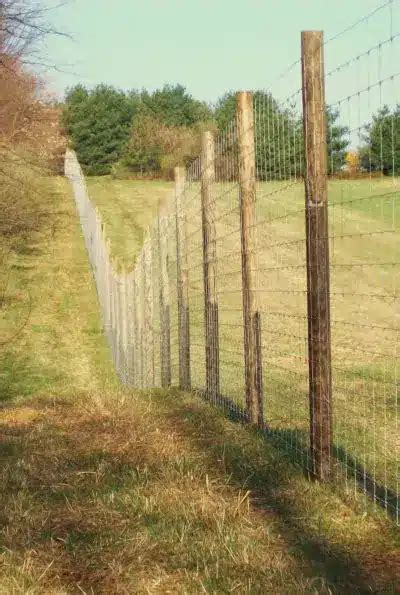 Deer Fencing Installation - PA, WV, MD, VA - ProFence LLC