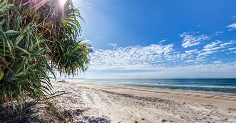 White Patch | Bribie Island | Moreton Bay Region