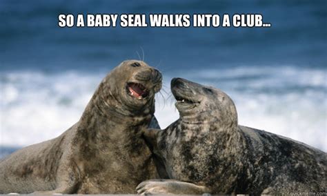 SO A BABY SEAL WALKS INTO A CLUB... - Comedian Seal - quickmeme