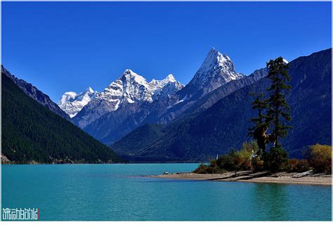 林芝风景图片大全【相关词_ 林芝风景图片】_淘宝助手