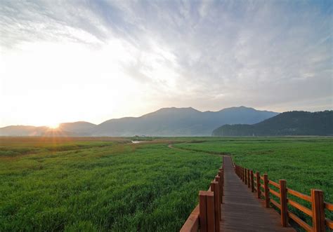 Suncheon Bay Tour information - Korea Private Tour Agency