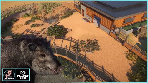 Planet Zoo Collared Peccary Habitat Build - YouTube