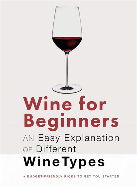 Wine for Beginners: An Easy Explanation of Different Wine Types | Primer